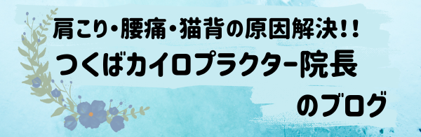 肩こり・腰痛・猫背・原因解決！！つくばのカイロプラクター院長のブログ